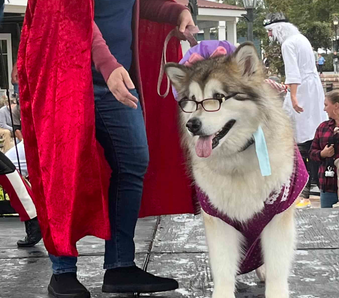 BooFest! Kids and Pets Halloween Costume Contests